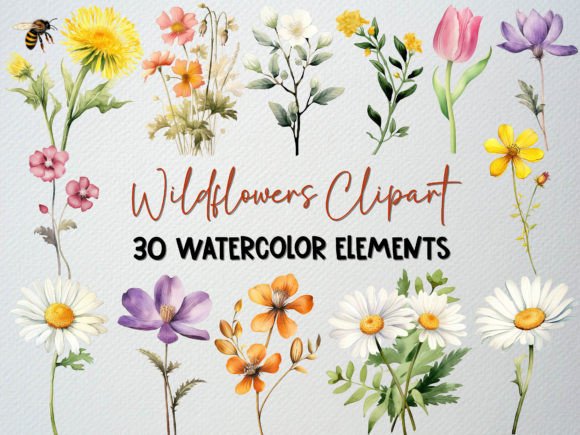 Download Watercolor Wildflower Clipart Set 2 - Wildflower Collection