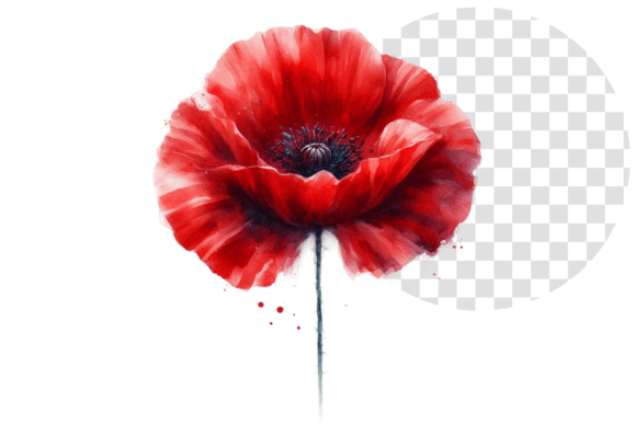 Download Poppify Watercolor Red Poppy Clipart - Red poppy Collection
