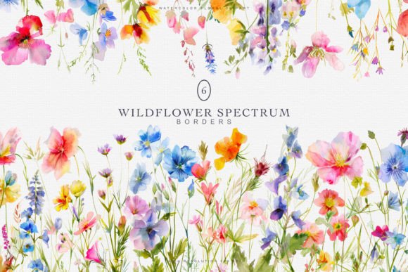 Download Watercolor Colorful Wildflowers Borders - Wildflower Collection