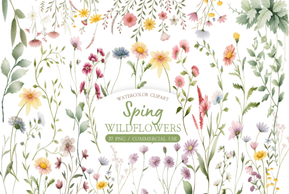 Download Watercolor Wildflower Clipart Bundle - Wildflower Collection