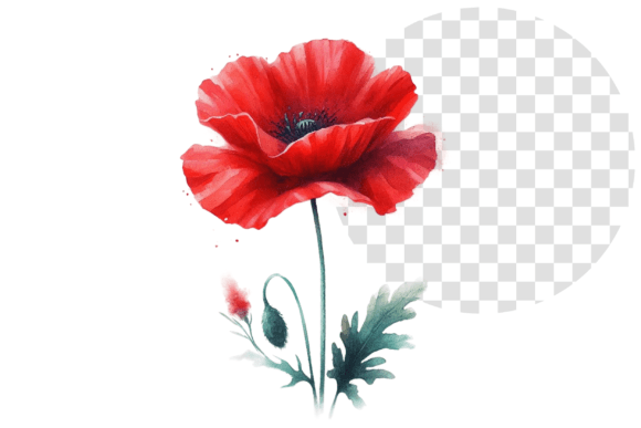 Download Poppify Watercolor Red Poppy Clipart - Red poppy Collection