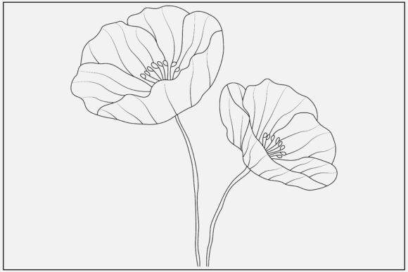 Download Red Poppy Line Art Design - Red poppy Collection