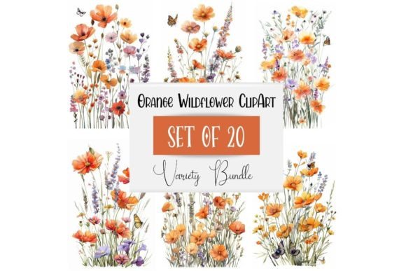 Download Orange Watercolor Wildflower Clipart - Wildflower Collection