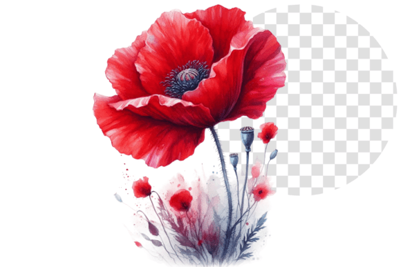 Download Poppify Watercolor Red Poppy Clipart - Red poppy Collection
