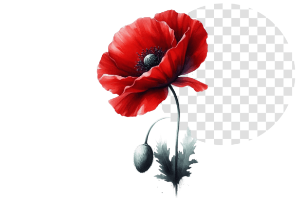 Download Poppify Watercolor Red Poppy Clipart - Red poppy Collection