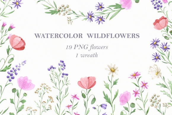 Download Watercolor Wildflower Clipart - Wildflower Collection